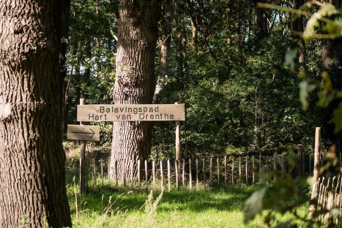 Fazant I Prachtige Vakantiewoning Zwiggelte Eksteriør billede